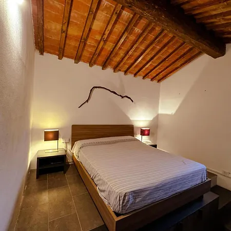 Thesan Volterra